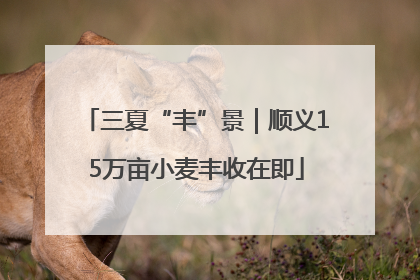 三夏“丰”景｜顺义15万亩小麦丰收在即
