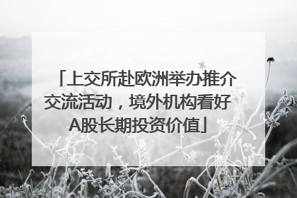 上交所赴欧洲举办推介交流活动，境外机构看好A股长期投资价值