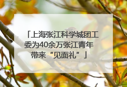 上海张江科学城团工委为40余万张江青年带来“见面礼”