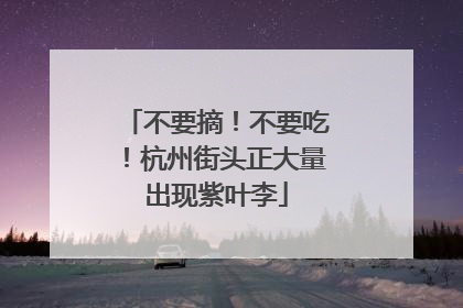 不要摘！不要吃！杭州街头正大量出现紫叶李
