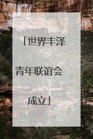 世界丰泽青年联谊会成立