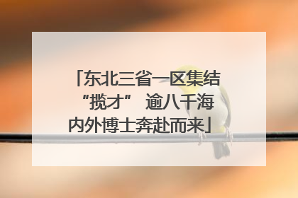 东北三省一区集结“揽才” 逾八千海内外博士奔赴而来