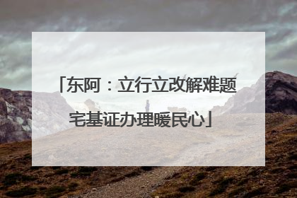 东阿：立行立改解难题 宅基证办理暖民心