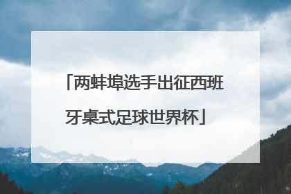 两蚌埠选手出征西班牙桌式足球世界杯