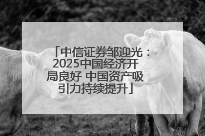 中信证券邹迎光：2025中国经济开局良好 中国资产吸引力持续提升