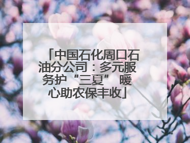 中国石化周口石油分公司：多元服务护“三夏” 暖心助农保丰收