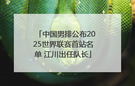 中国男排公布2025世界联赛首站名单 江川出任队长