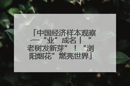 中国经济样本观察·一“业”成名丨“老树发新芽”！“浏阳烟花”燃亮世界