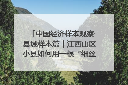 中国经济样本观察·县域样本篇｜江西山区小县如何用一根“细丝”拉出百亿级产业？