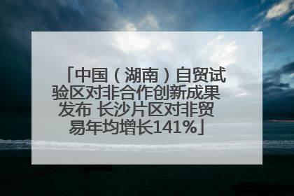 中国（湖南）自贸试验区对非合作创新成果发布 长沙片区对非贸易年均增长141%