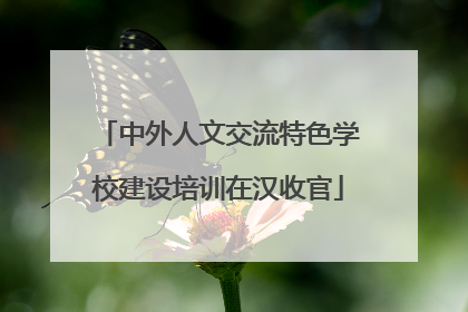 中外人文交流特色学校建设培训在汉收官