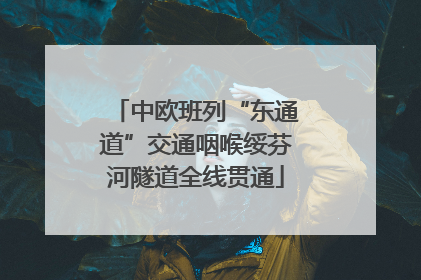 中欧班列“东通道”交通咽喉绥芬河隧道全线贯通