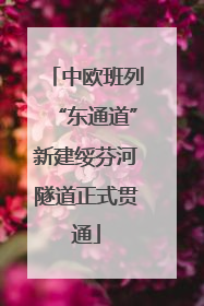 中欧班列“东通道”新建绥芬河隧道正式贯通