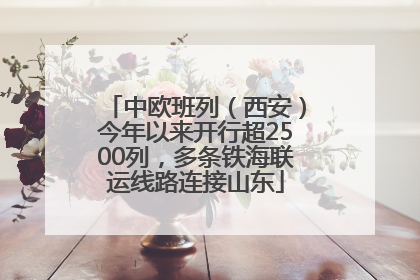 中欧班列（西安）今年以来开行超2500列，多条铁海联运线路连接山东