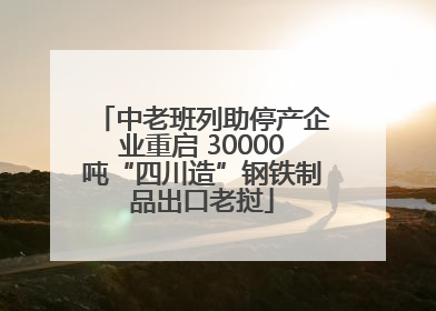 中老班列助停产企业重启 30000吨“四川造”钢铁制品出口老挝