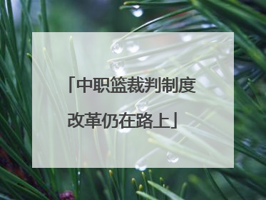 中职篮裁判制度改革仍在路上