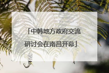 中韩地方政府交流研讨会在南昌开幕