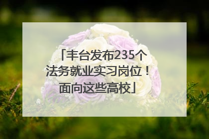 丰台发布235个法务就业实习岗位！面向这些高校