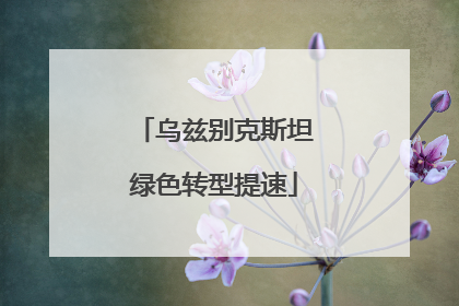 乌兹别克斯坦绿色转型提速