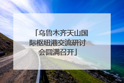 乌鲁木齐天山国际枢纽港交流研讨会圆满召开