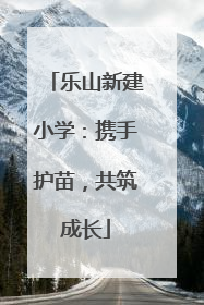 乐山新建小学：携手护苗，共筑成长