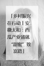 乡村振兴在行动丨安徽太和：西瓜产业铺就“甜蜜”致富路