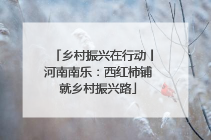 乡村振兴在行动丨河南南乐：西红柿铺就乡村振兴路
