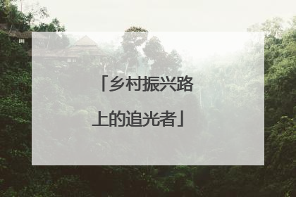 乡村振兴路上的追光者
