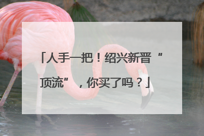 人手一把！绍兴新晋“顶流”，你买了吗？