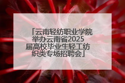 云南轻纺职业学院举办云南省2025届高校毕业生轻工纺织类专场招聘会