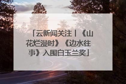 云新闻关注丨《山花烂漫时》《边水往事》入围白玉兰奖