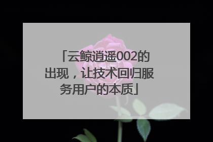 云鲸逍遥002的出现，让技术回归服务用户的本质