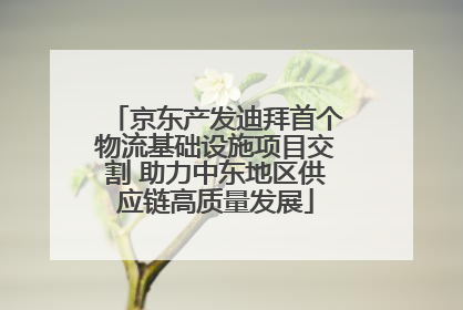 京东产发迪拜首个物流基础设施项目交割 助力中东地区供应链高质量发展