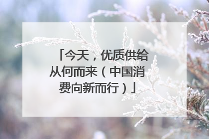 今天，优质供给从何而来（中国消费向新而行）