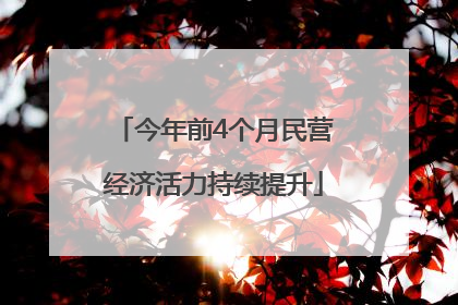 今年前4个月民营经济活力持续提升