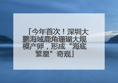 今年首次！深圳大鹏海域鹿角珊瑚大规模产卵，形成“海底繁星”奇观