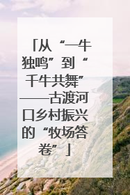 从“一牛独鸣”到“千牛共舞”——古渡河口乡村振兴的“牧场答卷”