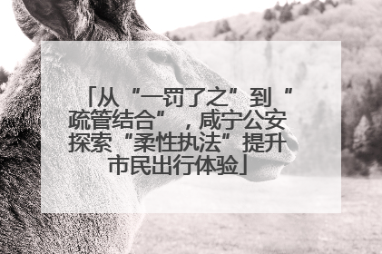 从“一罚了之”到“疏管结合”，咸宁公安探索“柔性执法”提升市民出行体验