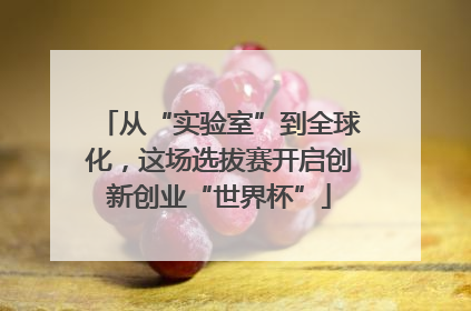 从“实验室”到全球化，这场选拔赛开启创新创业“世界杯”