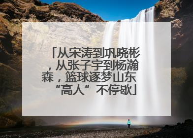 从宋涛到巩晓彬，从张子宇到杨瀚森，篮球逐梦山东“高人”不停歇