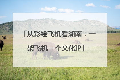 从彩绘飞机看湖南：一架飞机一个文化IP