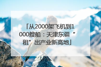 从2000架飞机到1000艘船：天津东疆“租”出产业新高地