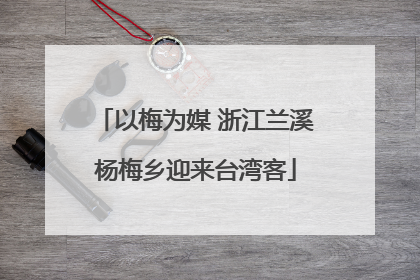 以梅为媒 浙江兰溪杨梅乡迎来台湾客