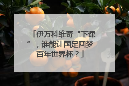 伊万科维奇“下课”，谁能让国足圆梦百年世界杯？