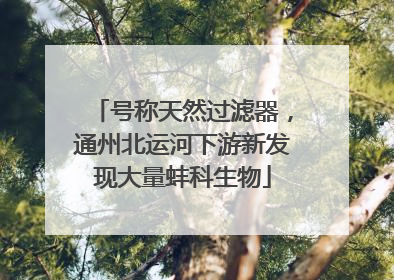 号称天然过滤器，通州北运河下游新发现大量蚌科生物