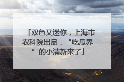 双色又迷你，上海市农科院出品，“吃瓜界”的小清新来了