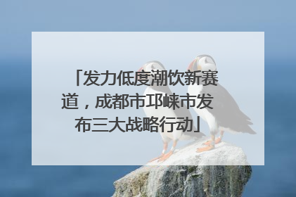 发力低度潮饮新赛道，成都市邛崃市发布三大战略行动