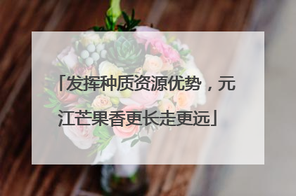 发挥种质资源优势，元江芒果香更长走更远