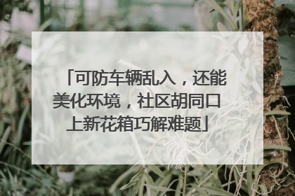 可防车辆乱入，还能美化环境，社区胡同口上新花箱巧解难题