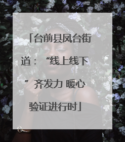 台前县凤台街道：“线上线下”齐发力 暖心验证进行时